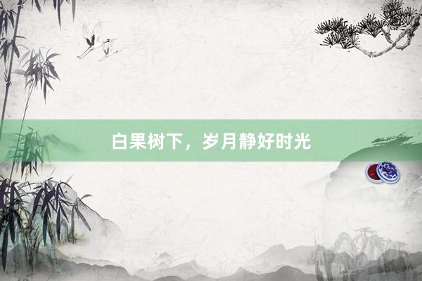 白果树下，岁月静好时光