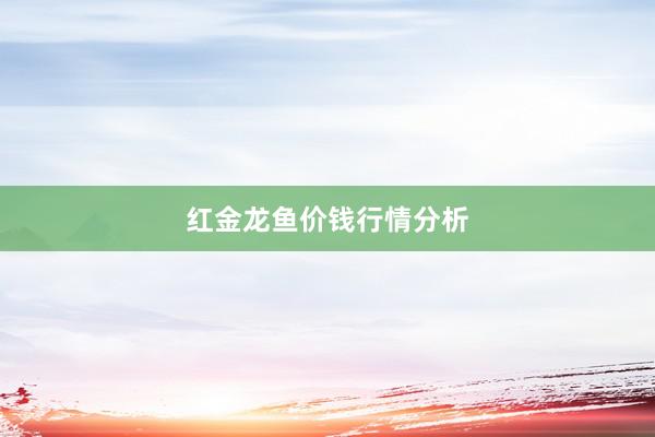 红金龙鱼价钱行情分析